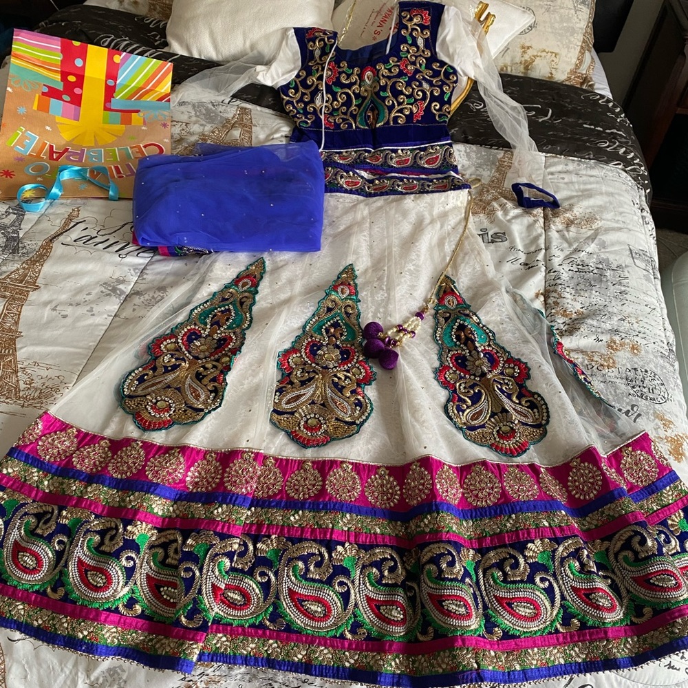 Beautiful Indian sharara suit